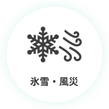 氷雪・風災