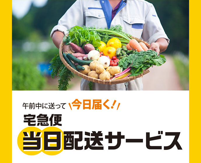 個人のお客さま | ヤマト運輸