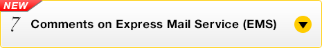 Comments on Express Mail Service (EMS)