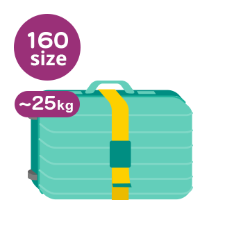 Everything You Need to Know About Alaska Airline's Baggage Fees