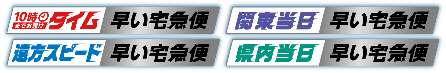 10時までお届けタイム早い宅急便/関東当日早い宅急便/遠方スピード早い宅急便/県内当日早い宅急便