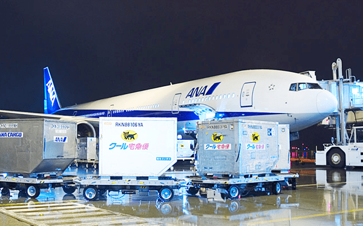 国际低温宅急便